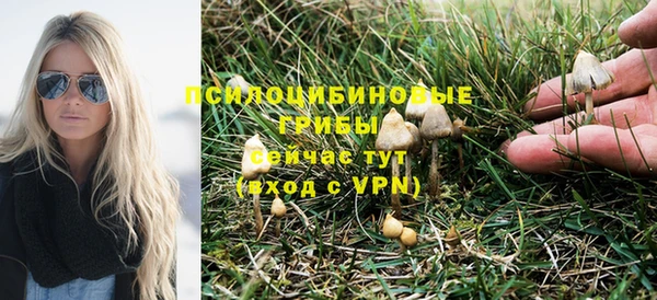 дживик Пролетарск