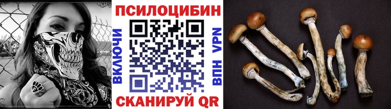 Галлюциногенные грибы мицелий  хочу наркоту  Самара 