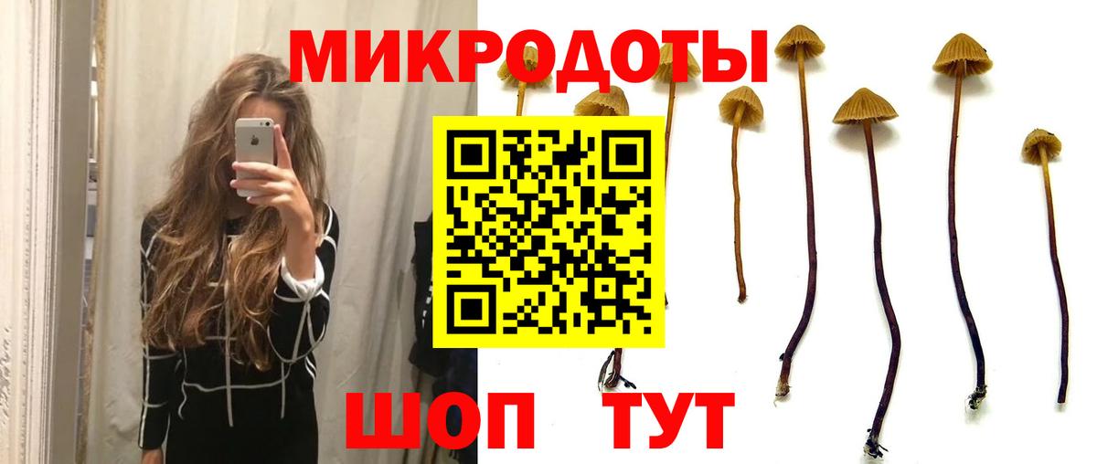 Галлюциногенные грибы Psilocybe  Галлюциногенные грибы ЛСД  Самара  Вход с VPN 