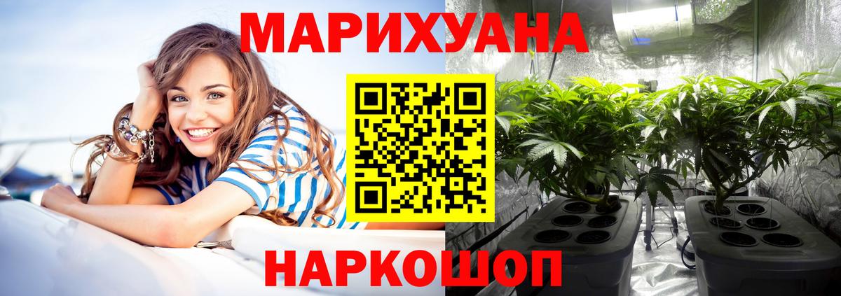 Каннабис конопля  Конопля Bruce Banner  Марихуана планчик  Вход с VPN  Самара  Каннабис ГИДРОПОН 
